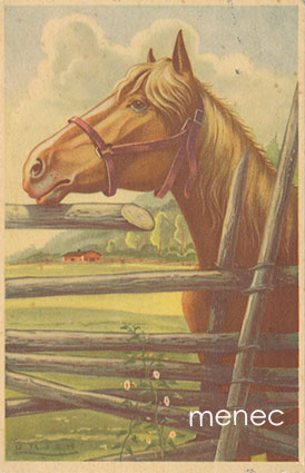 Urich, Eduard - Hevonen aidalla 