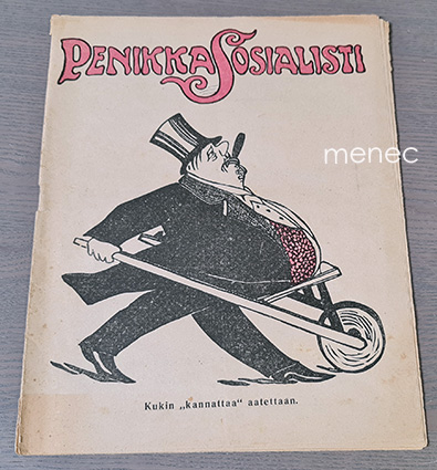 Penikkasosialisti 