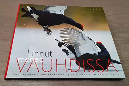 Linnut vauhdissa 