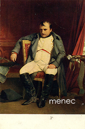 Delaroche, Paul - Napoleon 
