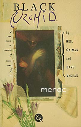 Gaiman, Neil & McKean, Dave - Black Orchid 