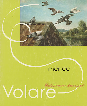 Volare. Intohimona kuvataide 