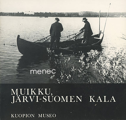 Muikku, järvi-Suomen kala 