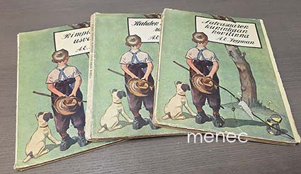 Ingman, Alfred Emil - Latvasaaren kuninkaan hovilinna / Kahden taalarin raha / Rimpisuon usvapatsas 