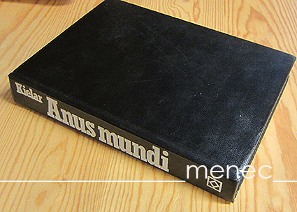 Kielar, Wieslaw - Anus mundi. Auschwitzin vanki n:o 290 