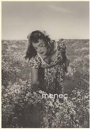 Hilja - maitotyttö, Anneli Sauli 