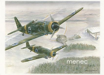 Gripenberg, Sture - Fiat G 50 