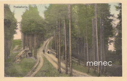 Punkaharju, ihmisiä tiellä 